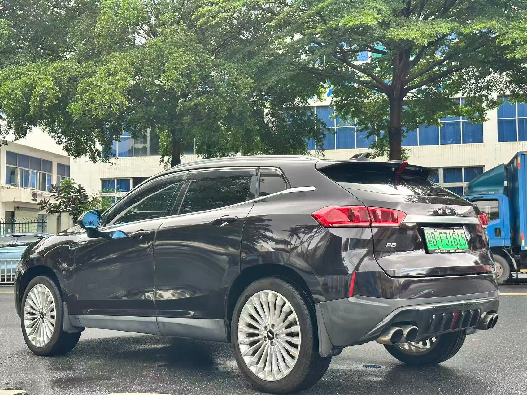 Wey P8 side view