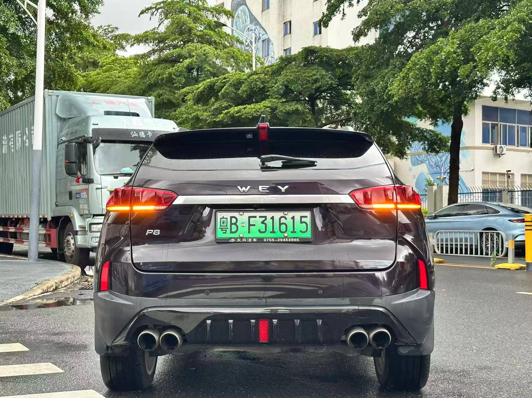 Wey P8 side rear view
