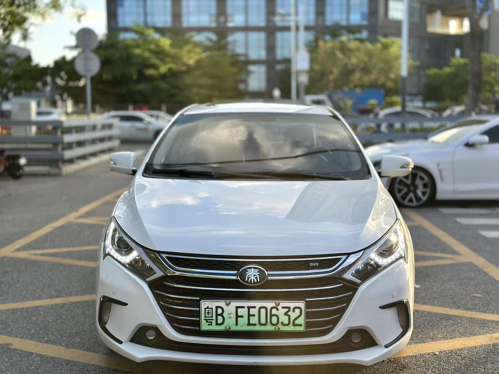 BYD Qin 2017 exterior rear view white